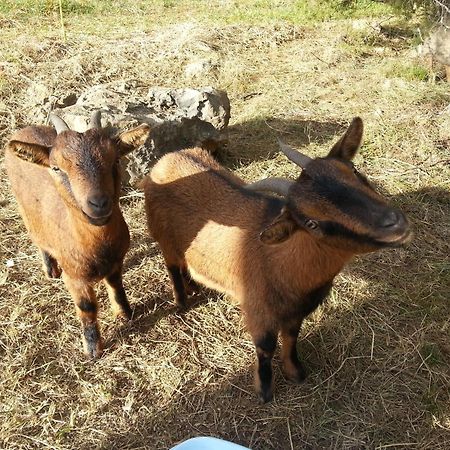 Camping Parc Saint Sauvayre Vagnas Kültér fotó