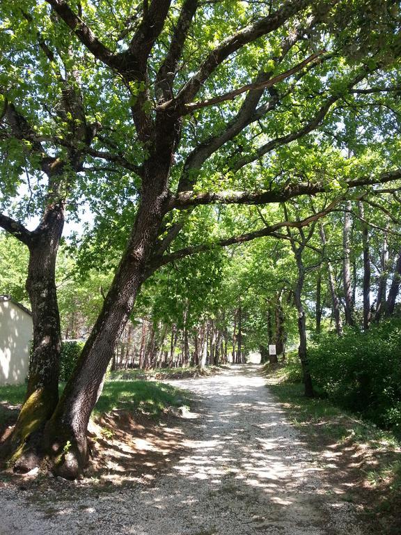 Camping Parc Saint Sauvayre Vagnas Kültér fotó